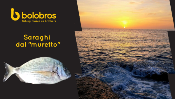 Copertina saraghi dal muretto